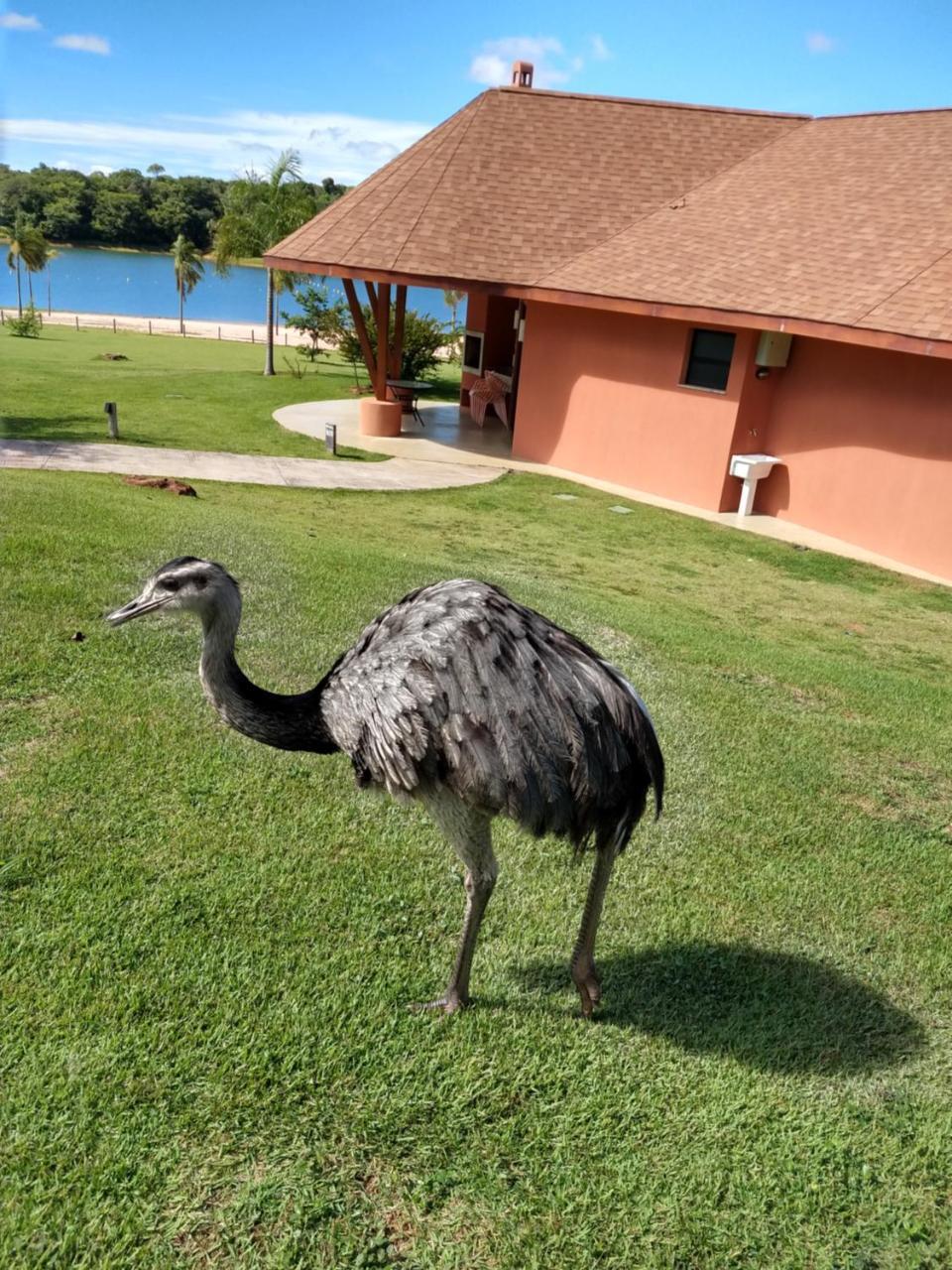 Malai Manso Cotista - Resort Acomodacoes 4 Hosp (Adults Only) Retiro  Buitenkant foto